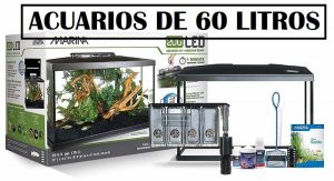 opiniones de calefactor para acuario para comprar por internet los 30 mas vendidos